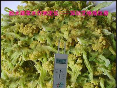 精準(zhǔn)把控水分，賦能品質(zhì)升級 中國高場能蔬菜水分儀與水果片水分測定儀全解析