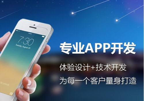 計算機軟硬件銷售與技術開發綜合服務